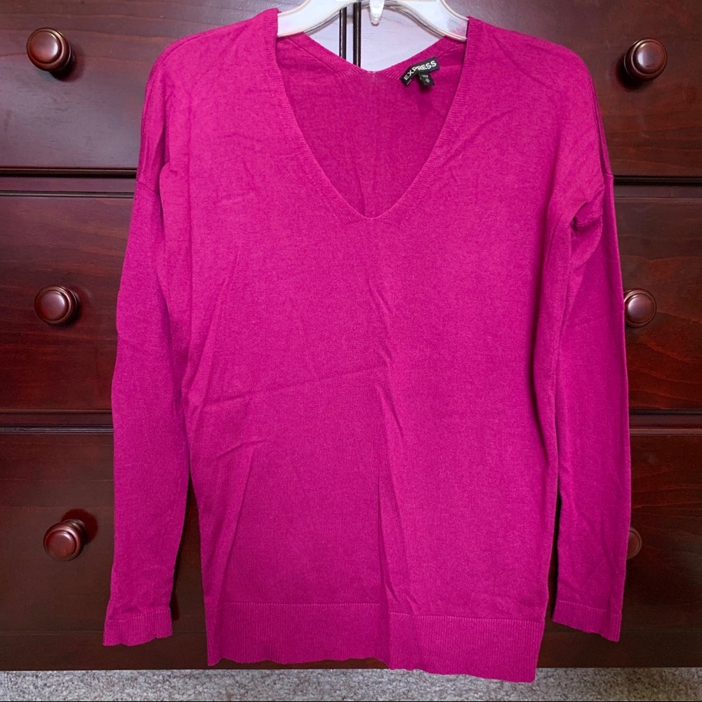 Express Berry V-neck Sweater XS